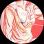 Bonus Bouncers EP