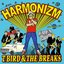 Harmonizm