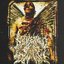 Severed by Dawn