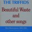 Beautiful Waste (and Other Songs) - Mini Masterpieces 1983-1985