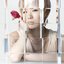 Carnation - L'œillet - Single