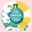 Indietracks Compilation 2018