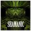 Shamanic - Single