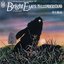Bright Eyes / 答えはUNDERSTAND