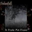 "In Depths And Despair"EP;DRCD004,2006