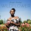 Wildflower