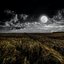 Moon Gazing