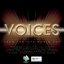Voices From The Fifa World Cup