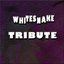 Whitesnake Tribute