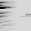 PREHUMAN. FLESHSTEP