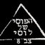 צב 8
