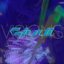 Visions