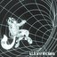 Wormholes