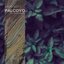 Palcoyo (Ben Junction Remix)