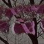 Idontlikethewaymybrainworks - Single