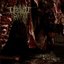 Stench Of Carnage