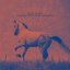 Year of the Horse