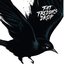 Blackbird