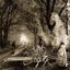 Through Forests Of Nonentities (2009)