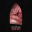 Salvo - EP