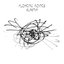 Elaenia (10 Year Anniversary)