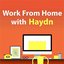Work From Home With Haydn
