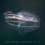 Focus Your Brain - Deep Ambient Soundscapes Vol 1