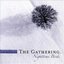 Nighttime Birds [2 CD] Disc 1