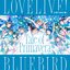 Tale of Primavera