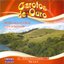 Músicas Gaúchas Inesquecíveis, Vol. 1