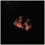 Demon Heart Radio
