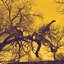 Yellow - Single
