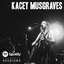 Spotify Sessions - Live From Bonnaroo 2013