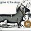 Gone to the Dogs