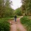 Lets Take A Walk