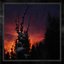 Nocturnal Womb