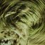 Spiral