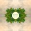 Debutantes EP