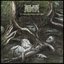 Enveloping Womb of Astringent Void