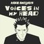 Voices In My Head