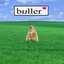 BULLER 1