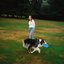 Dog Song