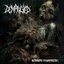 Anthropic Decomposition