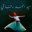 سيد احمد رفاعي تاج الاقطاب