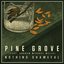 Pine Grove