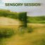 Sensory Session