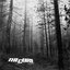 A Forest (Stereo)