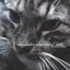 der kater der einst war