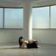 Shelter