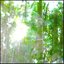 tohkami (feat. Anoice, Takahiro Kido, Yuki Murata & Ayako Kanisasare)
